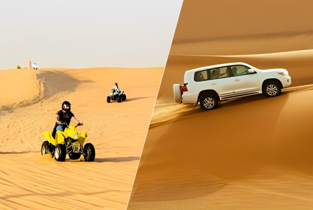 desert safari with buggy ride in dubai