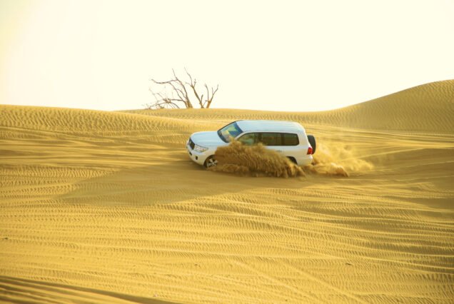 dune bashing in dubai desert safari - falcon oasis desert safari