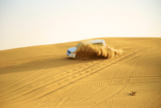 Desert safari in dubai with dune bashing - falcon oasis
