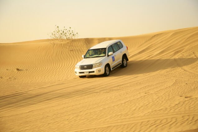 dune bashing desert safari - falcon oasis