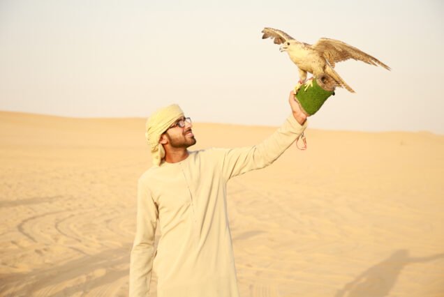 falcon bird photography in dubai desert safari