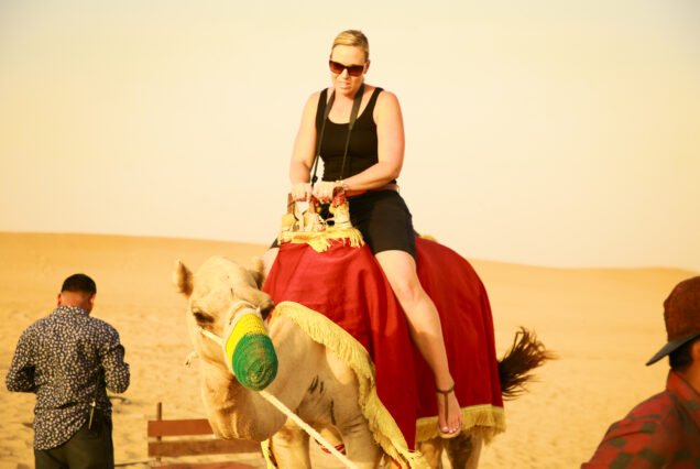 camel ride in desert safari falcon oasis desert safari